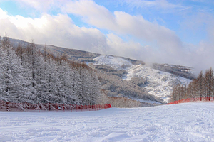 【滑雪大促丨含接送站】张家口雪如意滑雪场激情滑雪1-2天票，雪场雪如意睿景酒店/雪如意维景/奥运村度假公寓酒店