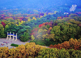南京中山陵景区+音乐台+美龄宫+明孝陵一日游【南京Citywalk 含无线耳麦 赠送景交 28人小团】
