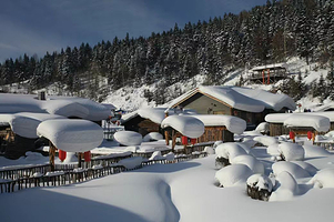 【多班次可选】哈尔滨·亚布力·中国雪乡单程直通车