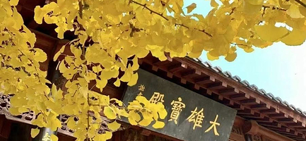 济南灵岩寺一日游【德州出发】