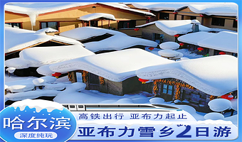 中国雪乡+大秃顶子山+亚布力滑雪旅游度假区二日游【8人小团丨一价全含丨纯玩无购物丨亚布力西站起止高铁团】