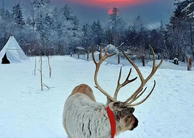 长白山仙峰雪岭景区+老里克湖一日游【延吉起二道止】