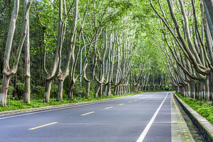牛首山文化旅游区+夫子庙+南京总统府+侵华日军南京大屠杀遇难同胞纪念馆一日游【网红牛首山佛顶宫】