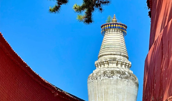 五台山一日游【太原出发|含五台山进山费+往返车费+中餐+保险】