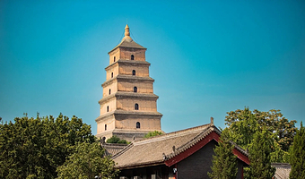 西安博物院+西安城墙+大慈恩寺+钟鼓楼广场+大雁塔北广场+回民街一日游【纯玩0购物+市区上门接】