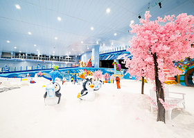 【酒店套餐】昆明滇池融创施柏阁酒店1晚+早餐+双人/3人海世界/热雪奇迹1次+酒店旅拍+非遗活动