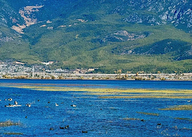 拉市海茶马古道+拉市海湿地公园+拉市海骑马一日游【丽江出发-纯玩无购|精选小团|特色土鸡火锅】