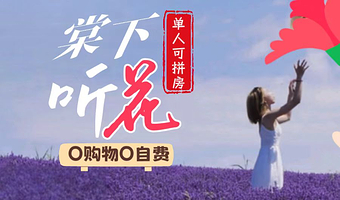 石林风景区+滇池+洱海游船+蓝月谷+《印象丽江》演出六日游【纯玩全含|动车返昆|4+5钻|洱海旅拍+骑行】