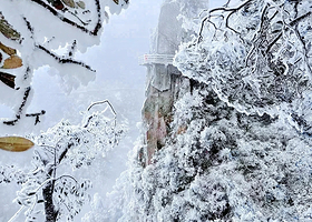 莽山五指峰景区+高椅岭旅游区二日游【漫步悬空栈道、丹霞公路马皇丘大峡谷/高椅岭、夜游裕后街】副本