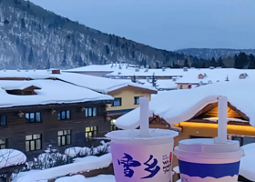 中国雪乡+大秃顶子山+亚雪驿站十里画廊二日游【至臻纯玩，不进店丨含1早3特色餐丨可选一价全含套餐更划算哦！】