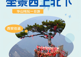 【全景西上北下】西岳华山纯玩一日私家团丨一家一团，私密游玩！含门票，含西上北下双程索道，含进山车