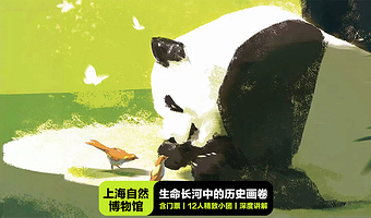 上海自然博物馆人工讲解1.5-2小时+12人小团/20人团+赠电子导览+协助进馆/单讲解/门票+讲解任选+耳麦