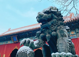 北京雍和宫+恭王府一日游【深度讲解.走进雍和宫探秘恭王府.可选五环内上门接】