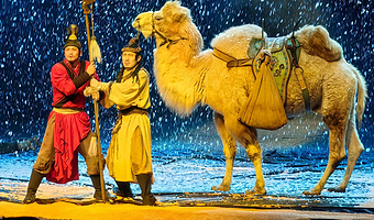 【车接车送】驼铃传奇/西安千古情/-可免费升级座位+市区上门接送