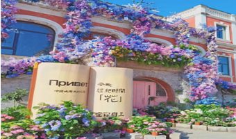 大连4日游独立团.旅顺口+棒棰岛+森林动物园（接送机/站+帆船出海喂海鸥+黄渤海+航母舰岛+3晚酒店）