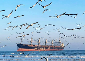 威海火炬八街+天鹅湖+那香海钻石沙滩浴场+搁浅货轮布鲁维斯号+威海公园+猫头山一日游【小团市区接/天天发团】