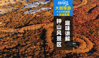 中山陵景区+音乐台+美龄宫半日游【私家团3小时参观+梧桐大道拍照打卡+音乐台喂鸽子+景区观光车】