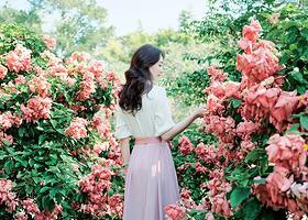 中国科学院西双版纳热带植物园一日游【精品小团丨市区接送丨含西区人工讲解丨行程自由】