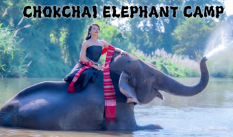 清迈纳财大象营+粘粘瀑布一日游【骑大象]给大象洗澡|丛林飞跃|老虎王国|竹筏漂流】