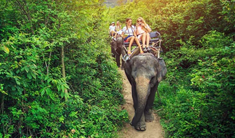 【当日可定 酒店接送】芭提雅沙发里象村芭堤雅大象村半日游 骑大象|丛林飞跃|ATV|越野车|射击 多套餐可选