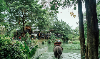 【打卡网红咖啡馆】芭提雅大象村&望象咖啡馆半日游 骑大象|ATV|大象洗澡|表演 部分套餐酒店接送