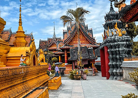 【私家团】西双版纳原始森林公园+曼听公园一日游【正规运营车辆★严选司机★拒绝乘车拥堵★烂漫邂逅傣王朝御花园】