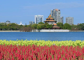 【私家团】佛山顺德清晖园+华盖路顺德美食街+顺峰山公园花海+逢简水乡1日游<广州出发上门接送+一单一团>W7