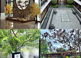 【房间带泡池】兴宁玖崇湖凤颐温泉酒店住1晚+2人无限次温泉+2人自助早餐