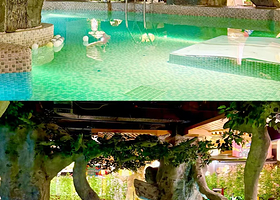 【茶点午市套餐/山泉鲩晚餐2选1】广州壹泉湾温泉酒店住1晚+2人自助早餐+2人无限次温泉