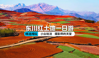 东川红土地一日游【二环内接】