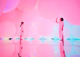 澳门teamLab超自然空间一日游【 teamLab 超自然门票，身体沉浸式美术馆，与他人共同创造，融为一体】