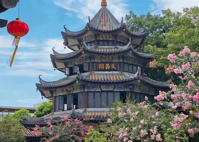 广州南沙天后宫+南沙游艇会+沙湾古镇+余荫山房一日游【私家团上门接送＋岭南四大园林＋余荫山房3月有白花风岭木】