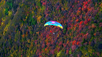 西安长安天子峪滑翔伞基地【专业教练一带一飞行体验】