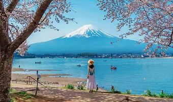 东京富士山+山中湖+河口湖+忍野八海一日游【9人小团/中文服务/山中湖骑行/河马水陆巴士/河口湖独木舟】