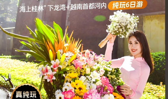 下龙湾+河内大教堂六日游【臻美纯玩0购物0自费0杂费+越南首都河内游+特色海鲜大咖//越南皇帝簸箕餐】