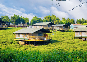 【萌宠互动】常州茅山森林世界度假村/仙姑十八房1晚+早餐+双人或3人茅山森林世界2日门票+可选高空三项或温泉