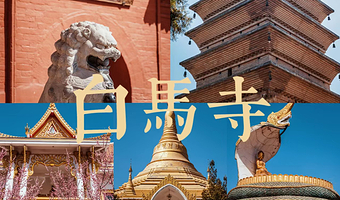 洛阳白马寺+郑州少林寺一日游【洛阳起止+景区大门票+全程优秀导游服务+含往返交通】