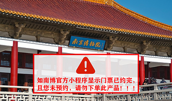 南京博物院2小时文史大咖深度讲解【15人内精品小团】