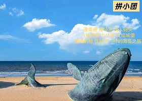 烟台蓬莱阁+长岛四日游【烟台+蓬莱+长岛旅游景区4日3晚拼小团】