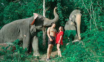 普吉岛泰萌大象营（奈通海滩分园）+普吉岛普吉岛奈迪大象保护营一日游【泰萌奈迪可巧大象互动喂食洗澡免费旅拍】