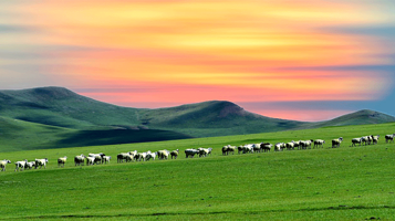 呼和浩特乌兰哈达火山地质公园+辉腾锡勒草原一日游【VIP8人小团·独立座位·上门接送·自由行·可升级骑马】