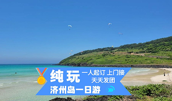 济州岛牛岛+城山日出峰+涉地可支+咸德海水浴场一日游【非大巴团(5-14位纯玩精品团 纯玩无购物 ) 】
