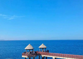 养马岛一日游【养马岛一日游（2-8人小团）全程纯玩，不进购物店，天天发团】