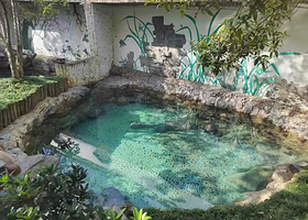 【酒店套餐】遵义枫香温泉酒店1晚+2人温泉门票+酒店免费停车+室外恒温泳池