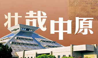 橄榄游●河南博物院 2.5H人工讲解 专业资深讲师领讲 河南博物院讲解