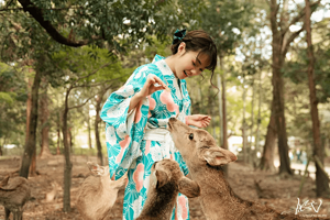 京都大阪奈良一日游 清水寺/奈良公园萌鹿/伏见稻荷大社/宇治抹茶温泉【中文司导 9人精品小团|酒店接送可选】