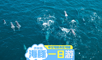 汉拿山+凯蒂猫主题馆+山茶花之丘+济州实弹射击场+柱状节理带+M1971 游艇俱乐部一日游【西南海豚线】