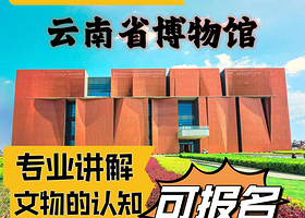 云南省博物馆一日游+人工讲解