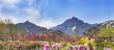 临沂山东文旅·沂蒙山天蒙旅游区一日游