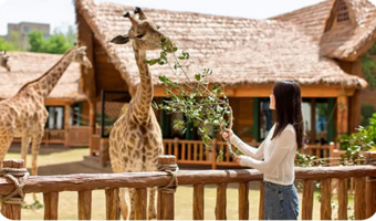 【3天2晚】可选郑州银基动物王国|郑州银基冰雪世界|郑州银基乐海神话世界|郑州银基黄帝宫御温泉+冰雪酒店2晚